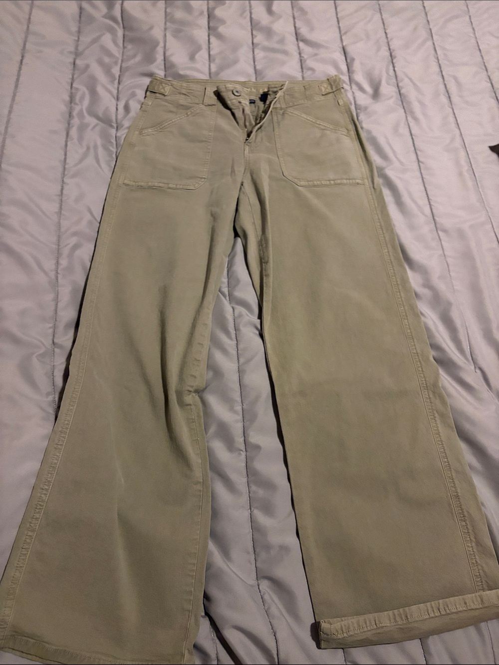American Eagle Stretch Pants in Light Olive